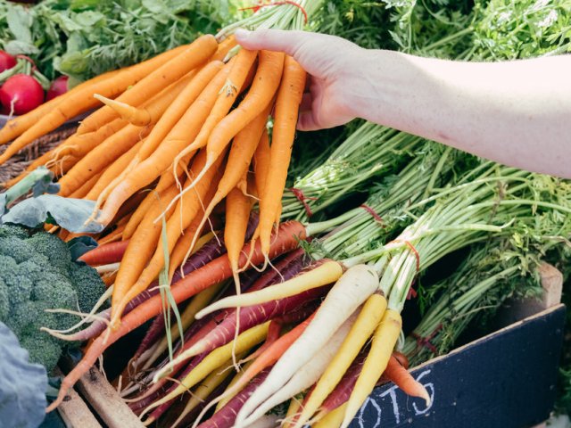 holding-a-bunch-of-carrots.jpeg